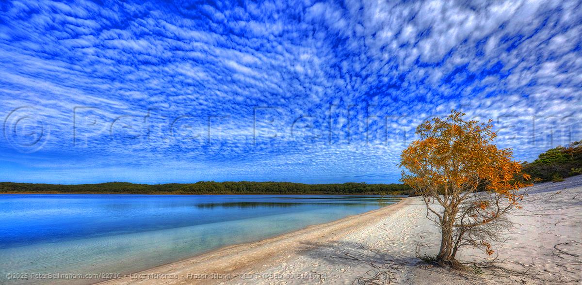 Peter Bellingham Photography Lake McKenzie - Fraser Island - QLD T (PB5D 00 51A1672)